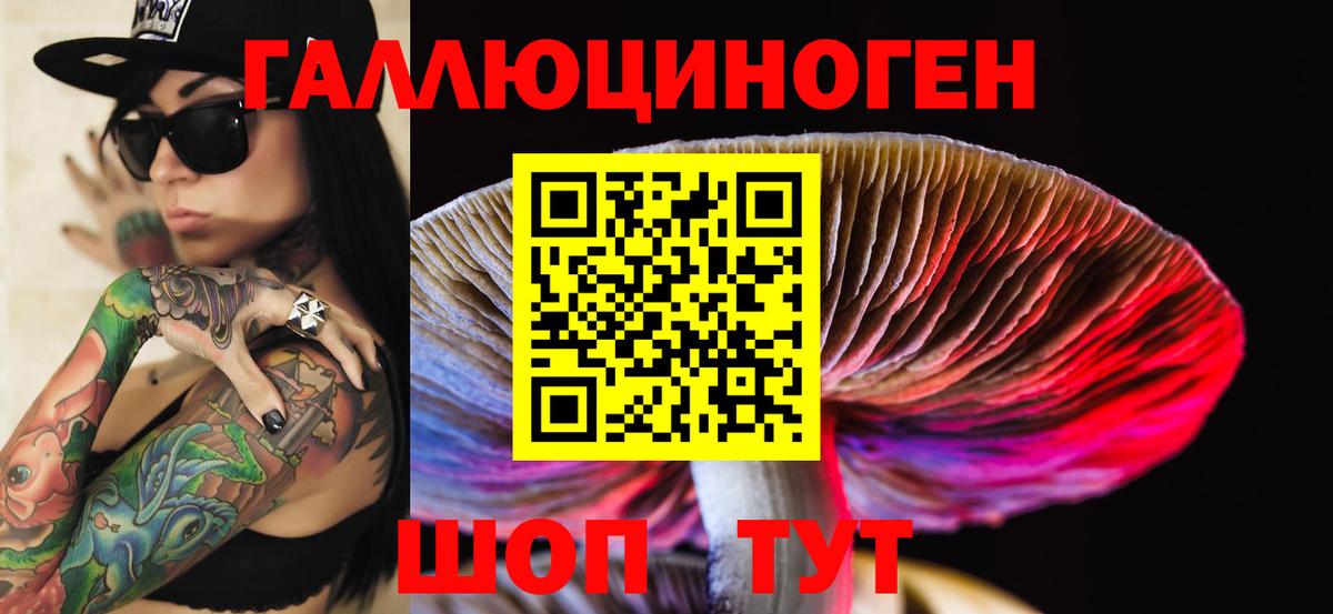 Псилоцибиновые грибы GOLDEN TEACHER Петропавловск-Камчатский